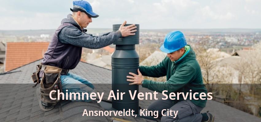 Chimney Air Vent Services Ansnorveldt, King City - ON Chimney Air Vent Services Ansnorveldt, King City - ON