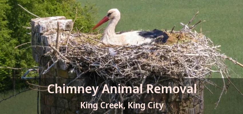 Chimney Animal Removal King Creek, King City - ON