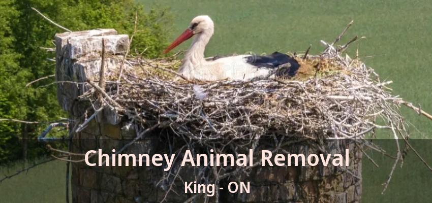 Chimney Animal Removal King - ON