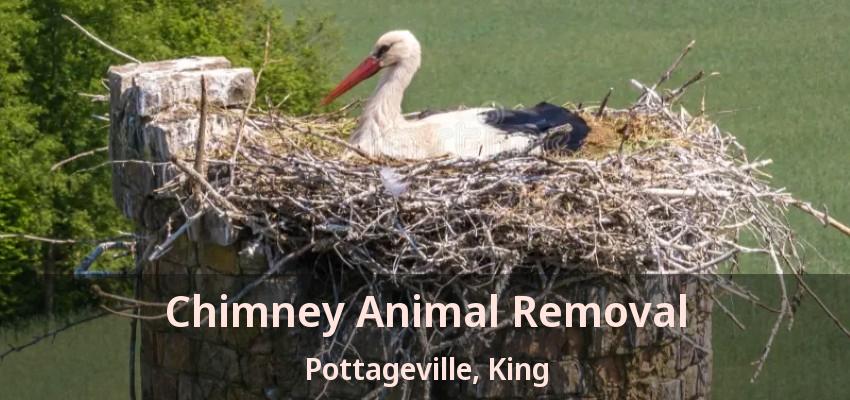 Chimney Animal Removal Pottageville, King - ON