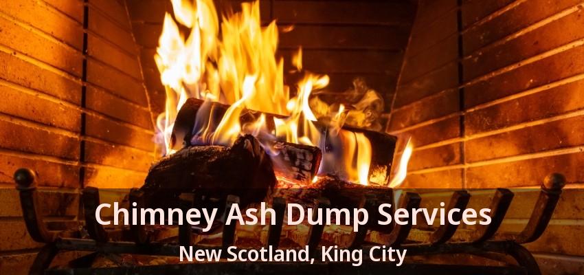 Chimney Ash Dump Services New Scotland, King City - ON