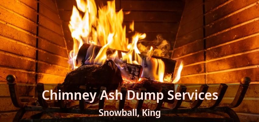 Chimney Ash Dump Services Snowball, King - ON