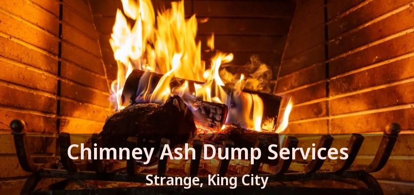 Chimney Ash Dump Services Strange, King City - ON
