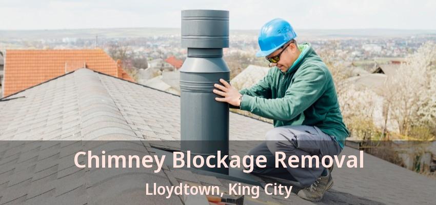 Chimney Blockage Removal Lloydtown, King City - ON