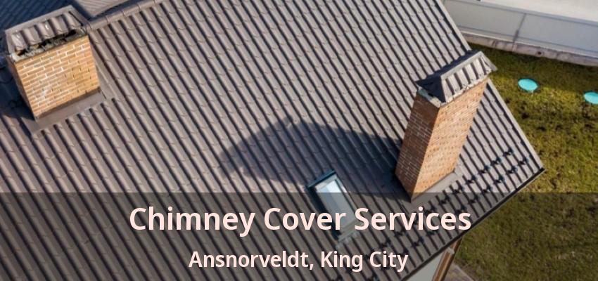 Chimney Cover Services Ansnorveldt, King City - ON