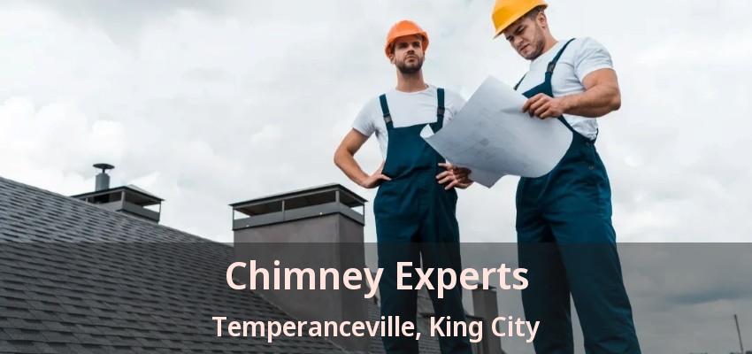 Chimney Experts Temperanceville, King City - ON Chimney Experts Temperanceville, King City - ON