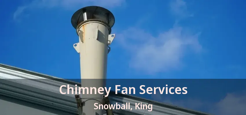 Chimney Fan Services Snowball, King - ON