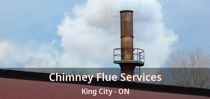 Chimney Flue Services King City - ON