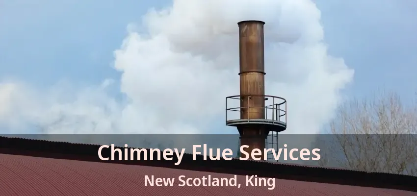 Chimney Flue Services New Scotland, King - ON