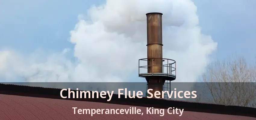 Chimney Flue Services Temperanceville, King City - ON