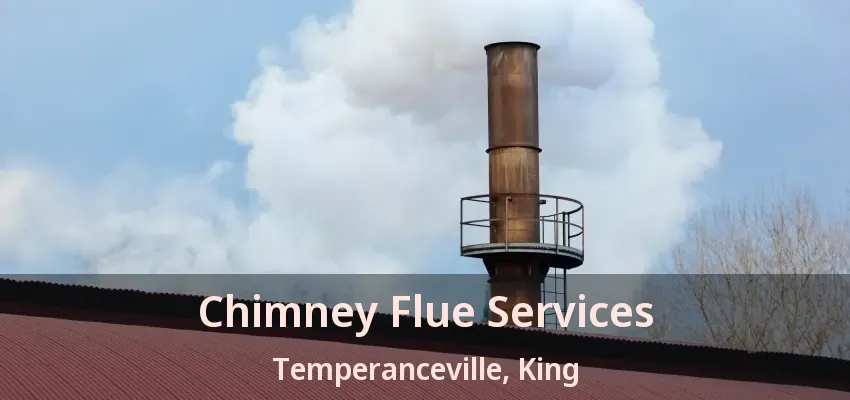Chimney Flue Services Temperanceville, King - ON