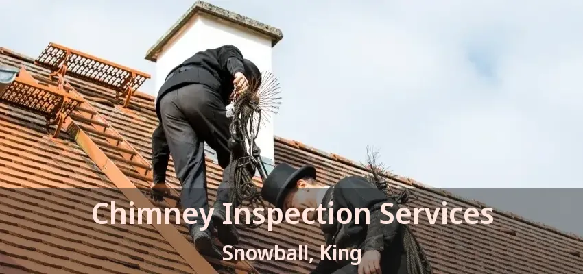 Chimney Inspection Services Snowball, King - ON