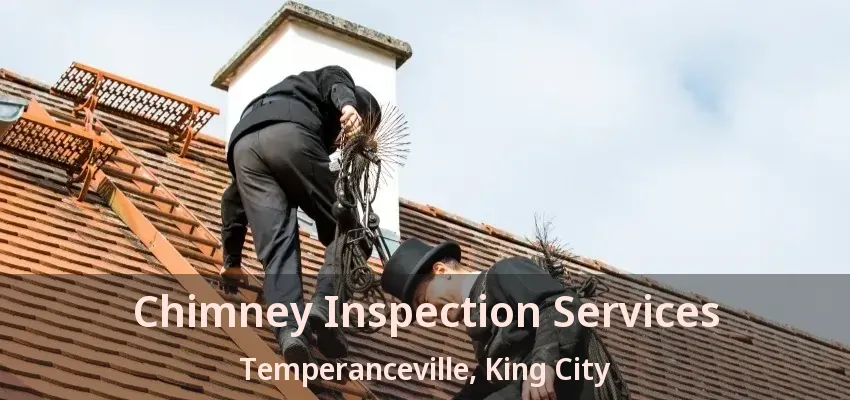 Chimney Inspection Services Temperanceville, King City - ON