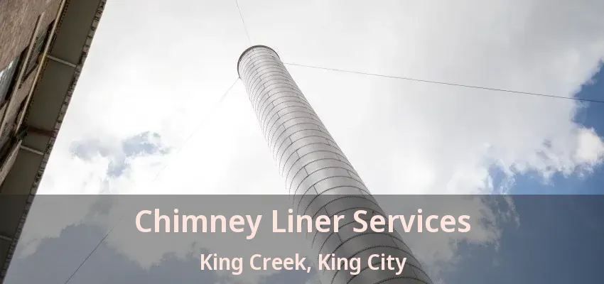 Chimney Liner Services King Creek, King City - ON