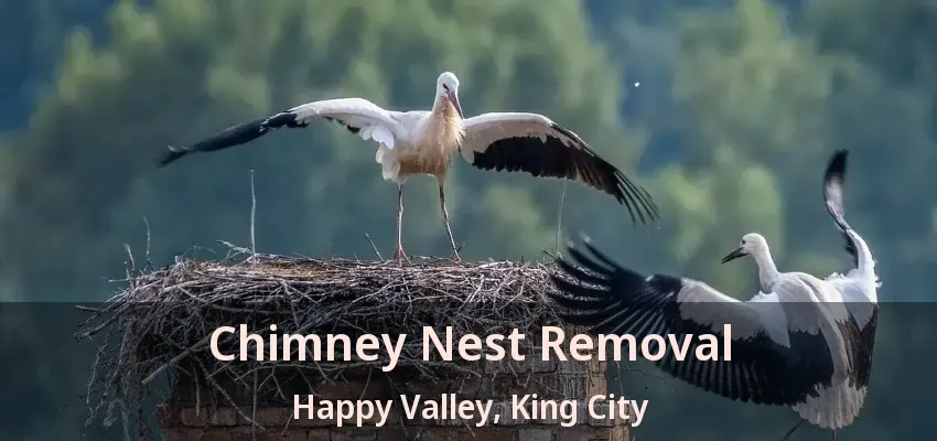 Chimney Nest Removal Happy Valley, King City - ON