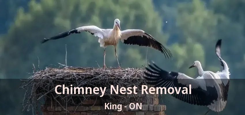 Chimney Nest Removal King - ON