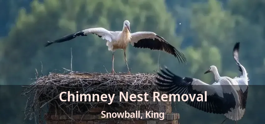 Chimney Nest Removal Snowball, King - ON