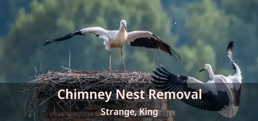 Chimney Nest Removal Strange, King - ON