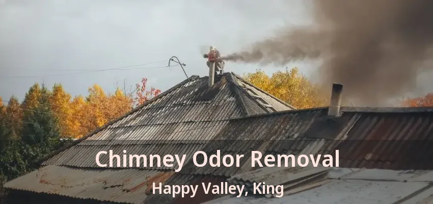 Chimney Odor Removal Happy Valley, King - ON