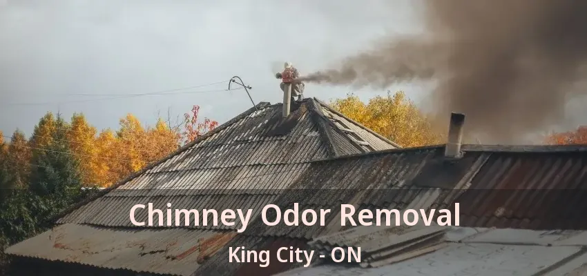 Chimney Odor Removal King City - ON