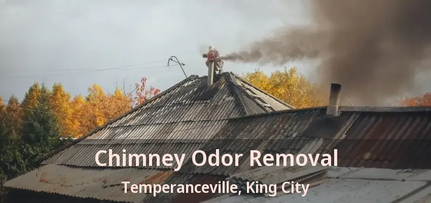 Chimney Odor Removal Temperanceville, King City - ON