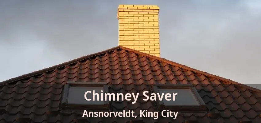 Chimney Saver Ansnorveldt, King City - ON Chimney Saver Ansnorveldt, King City - ON