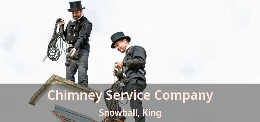 Chimney Service Company Snowball, King - ON