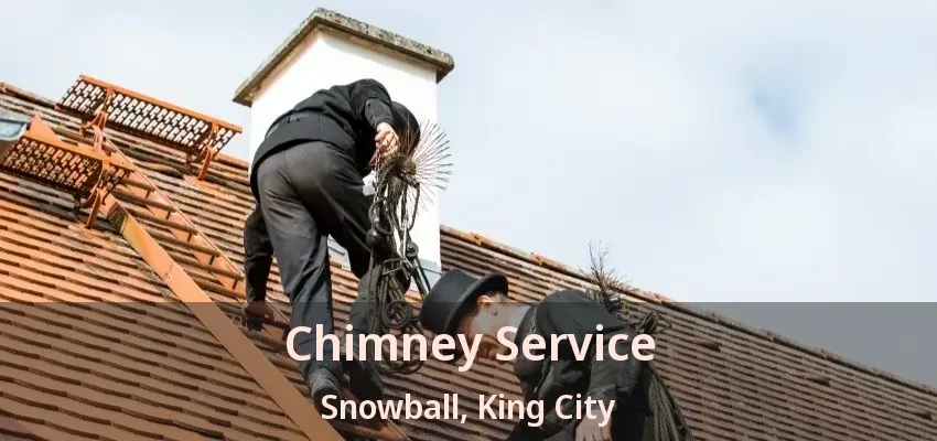 Chimney Service Snowball, King City - ON