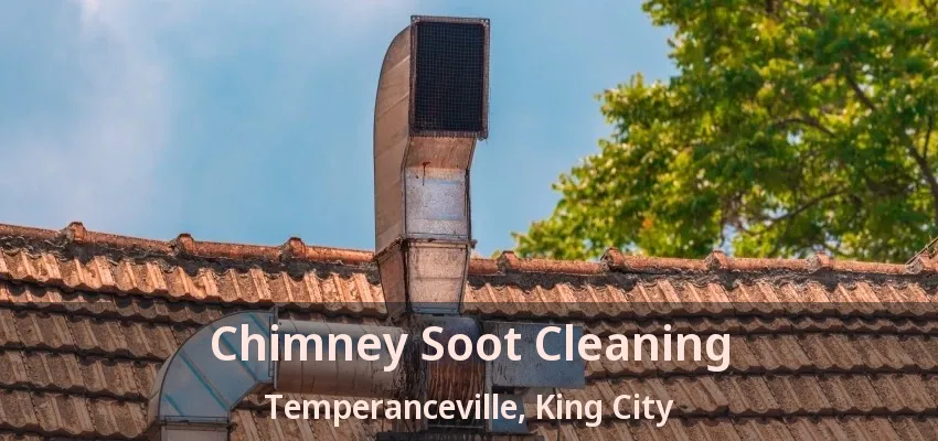 Chimney Soot Cleaning Temperanceville, King City - ON