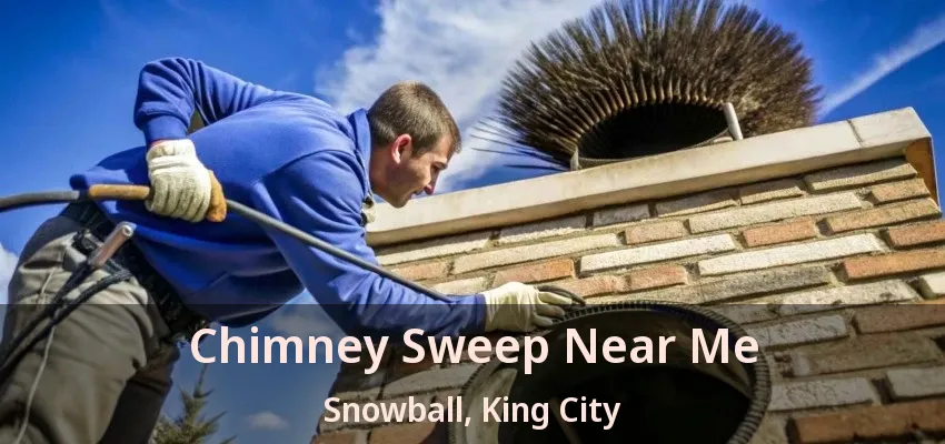 Chimney Sweep Near Me Snowball, King City - ON