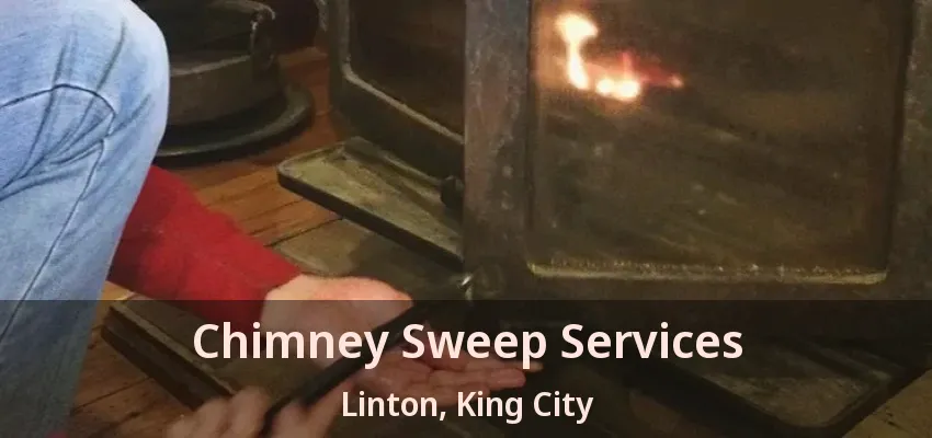 Chimney Sweep Services Linton, King City - ON