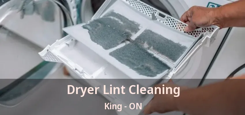 Dryer Lint Cleaning King - ON