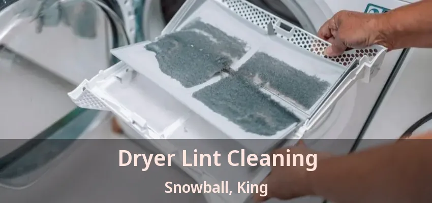 Dryer Lint Cleaning Snowball, King - ON