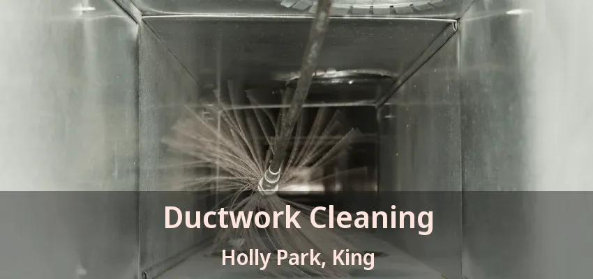 Ductwork Cleaning Holly Park, King - ON