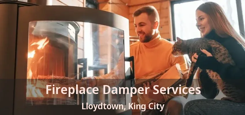 Fireplace Damper Services Lloydtown, King City - ON