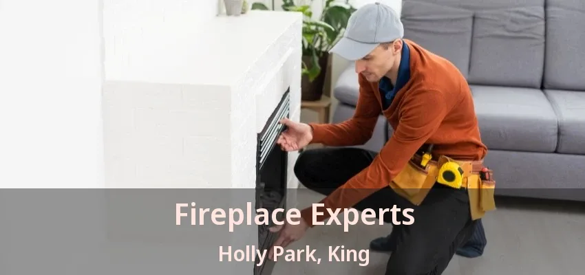 Fireplace Experts Holly Park, King - ON