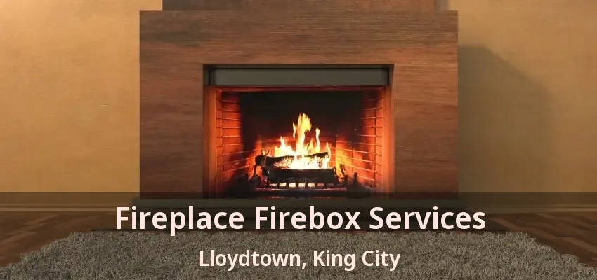 Fireplace Firebox Services Lloydtown, King City - ON Fireplace Firebox Services Lloydtown, King City - ON