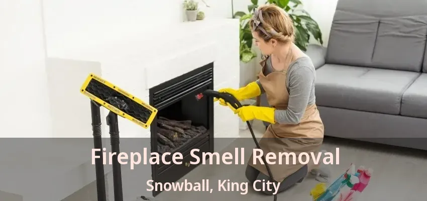 Fireplace Smell Removal Snowball, King City - ON