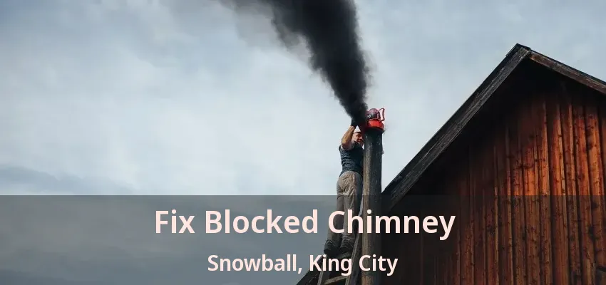 Fix Blocked Chimney Snowball, King City - ON