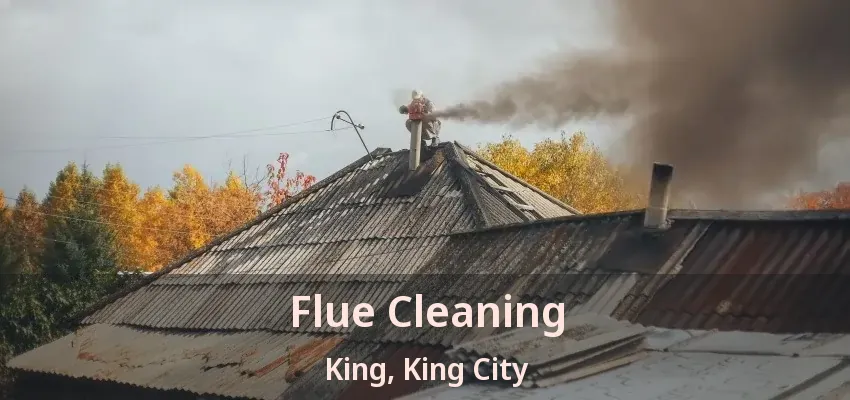Flue Cleaning King, King City - ON Flue Cleaning King, King City - ON