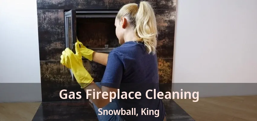 Gas Fireplace Cleaning Snowball, King - ON