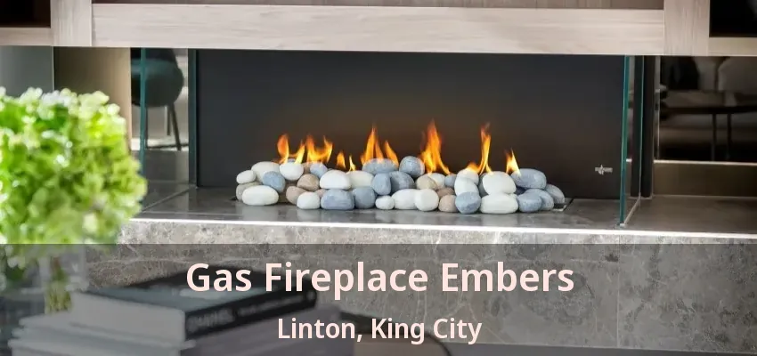 Gas Fireplace Embers Linton, King City - ON