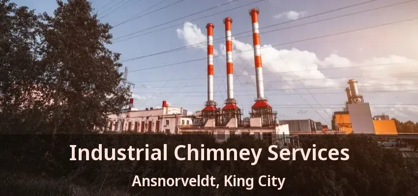 Industrial Chimney Services Ansnorveldt, King City - ON