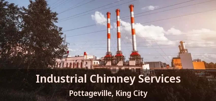 Industrial Chimney Services Pottageville, King City - ON