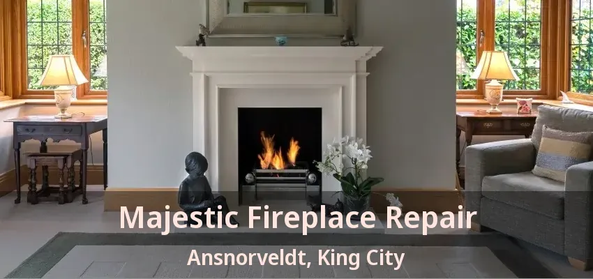 Majestic Fireplace Repair Ansnorveldt, King City - ON