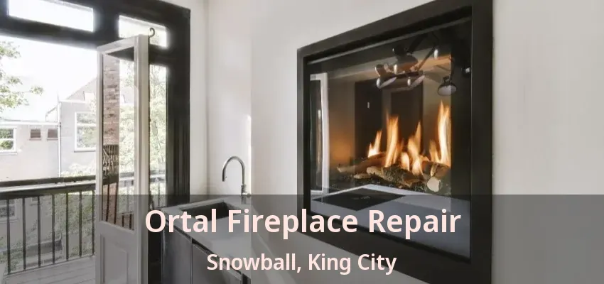Ortal Fireplace Repair Snowball, King City - ON