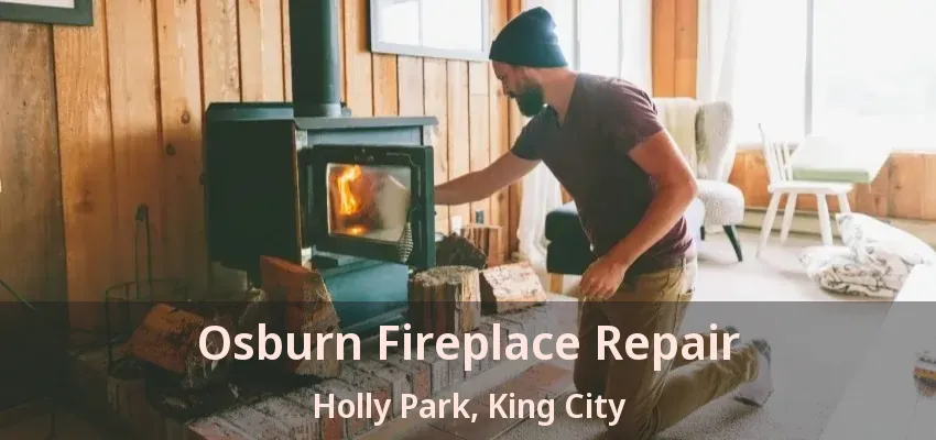 Osburn Fireplace Repair Holly Park, King City - ON