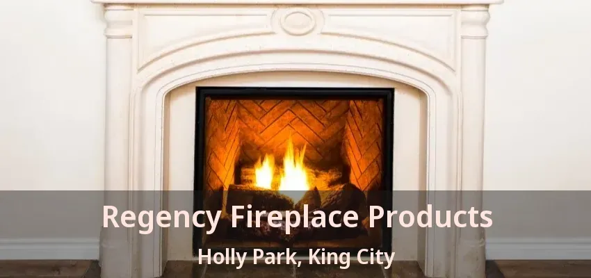 Regency Fireplace Products Holly Park, King City - ON