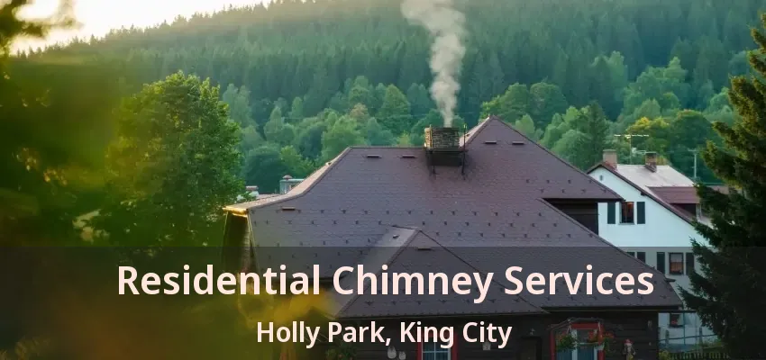 Residential Chimney Services Holly Park, King City - ON