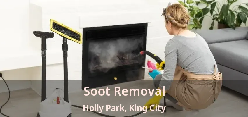 Soot Removal Holly Park, King City - ON